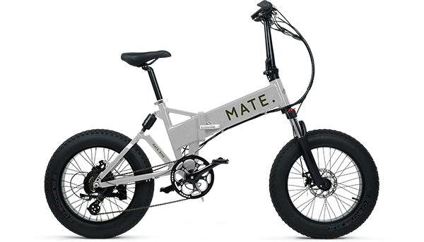 Mate X 750W