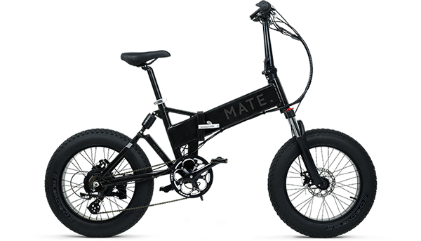 Mate X 750W