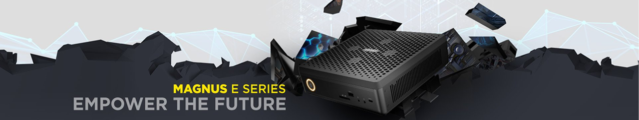 Magnus E Series Mini PC