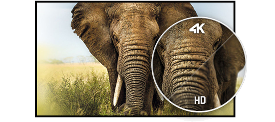 4K Display
