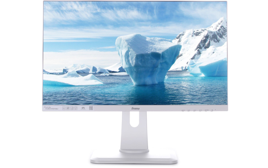 24-inch iiyama ProLite FHD XUB2492HSU-W1 IPS Monitor