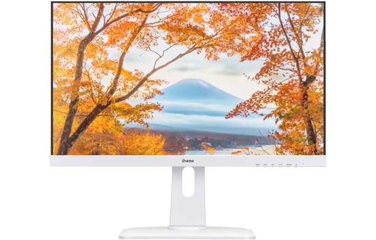 27-inch iiyama ProLite FHD B2791HSU-W1 FreeSync Monitor