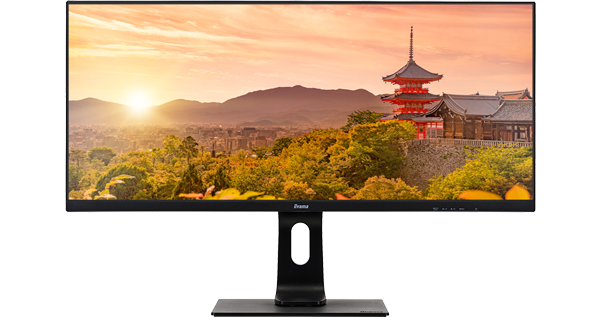 34-inch iiyama ProLite XUB3493WQSU-B1 Monitor