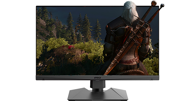 msi wqhd 165hz gaming monitor