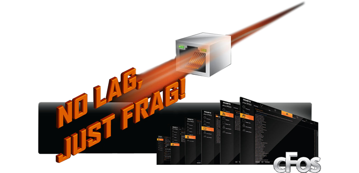 Intel GbE LAN