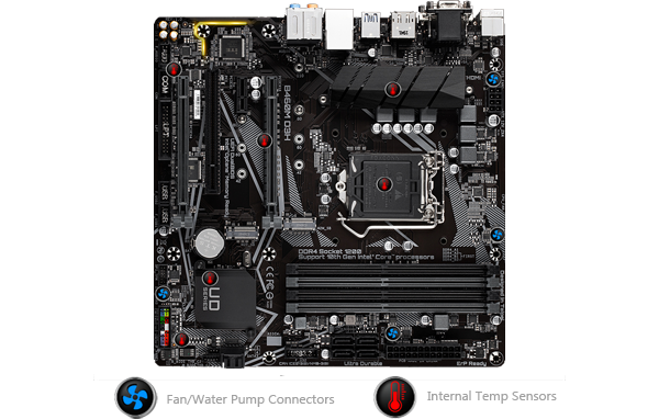 intel LAN
