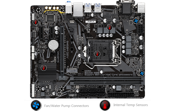 intel LAN