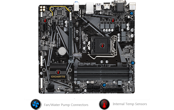intel LAN