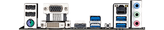 Connectivity Options