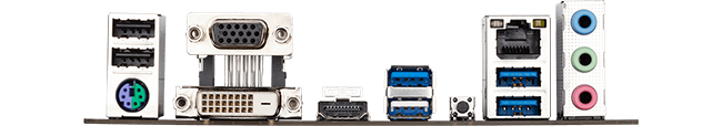 Connectivity Options