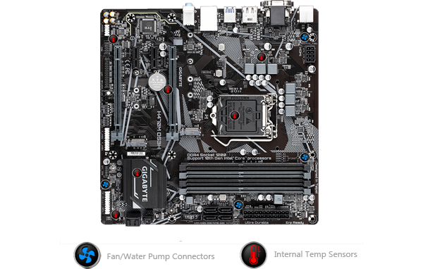 intel LAN