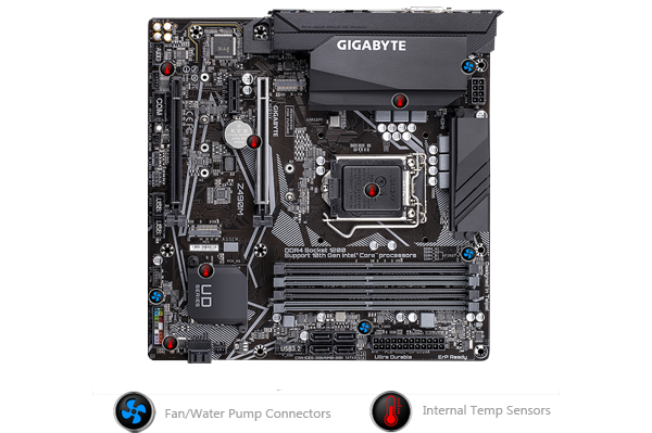 intel LAN