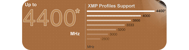 xmp