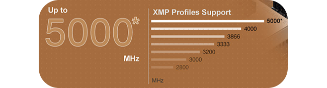 xmp
