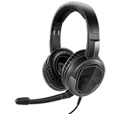 mic