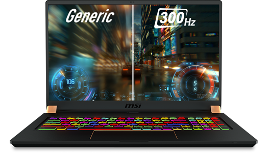 300Hz Refresh Rate