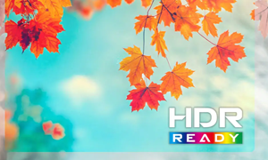HDR Ready