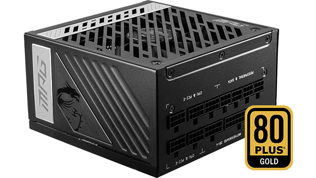 MSI A1000G Power Supply