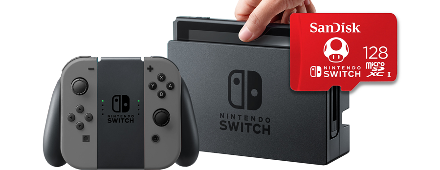Nintendo Switch Home Console