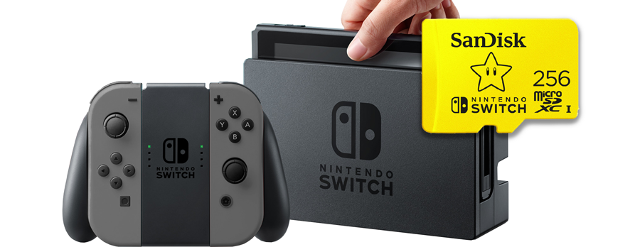 Nintendo Switch Home Console