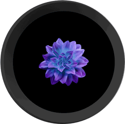 Audio Visualiser