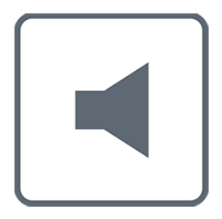 Integrated Speaker