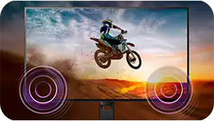 Built-In Stereo Speakers