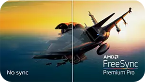 AMD FreeSync™ Premium Pro