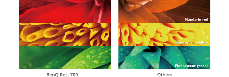 colour wheel