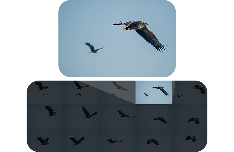 continuous shooting
