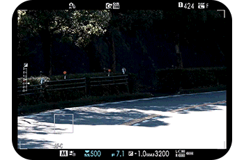 movement tracking auto focus