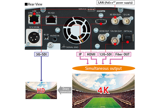output connections