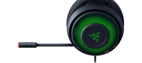 sound cancelling microphone