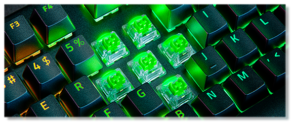 razer green switches