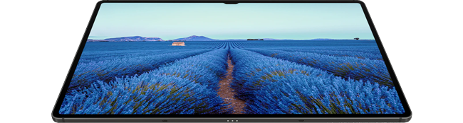 screen