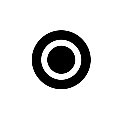 Combo Audio Port