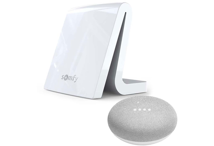 Somfy TaHoma Smart Home Automation System & Google Home Mini Speaker Bundle