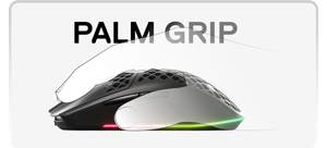 Palm Mode