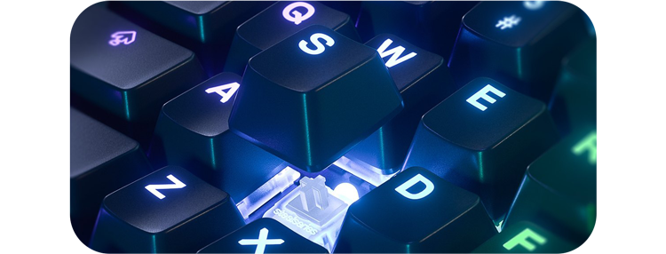 Image showing the steelseries mechanical switch