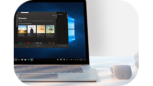 Mouse features