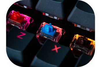 switches