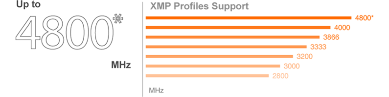 XMP