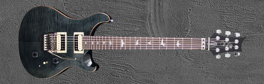 PRS SE Custom24