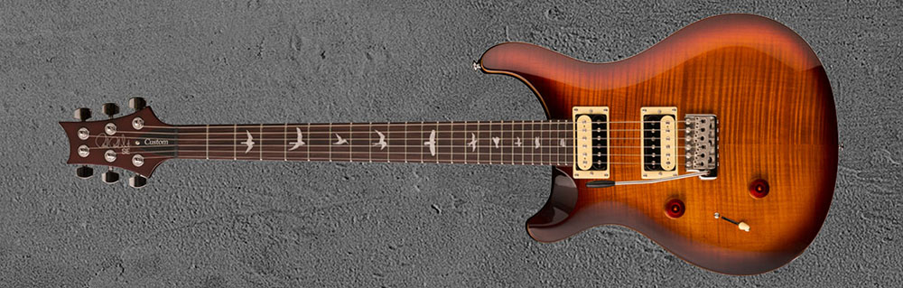 PRS SE Custom