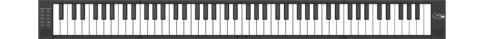 Blackstar Carry-On FP88