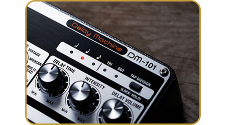 BOSS DM-101