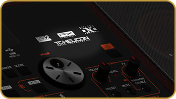 KORG Pa1000