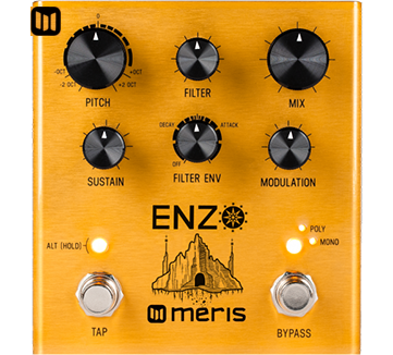 enzo pedal