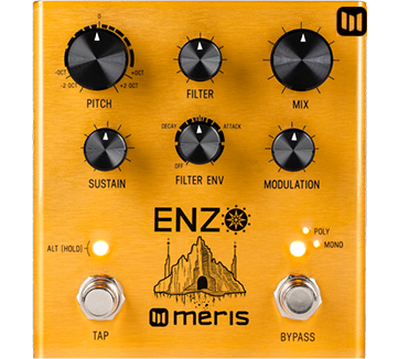 enzo pedal