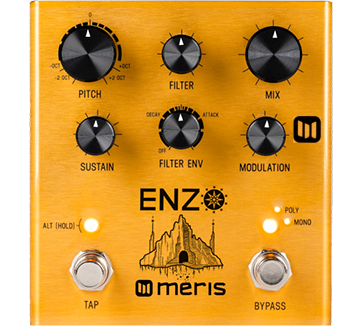 enzo pedal